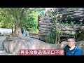 人生不易請別放棄_王愛華（超好聽） 澳琴海 video of tourist attractions in zhuhai china beautiful zhuhai