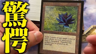 【至高】日本一MTGコレクターの最新コレクションがヤバすぎました... EIHO MAGIC COLLECTION 2025【MTG】