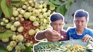 ថ្ងៃនេះញាំម្ជូរ ឆ្ងាញ់ៗ | Eating Sour so Yummy - Mukbang Eating