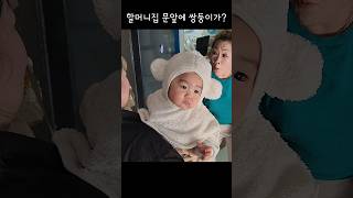 할머니댁에 몰래 찾아간 쌍둥이 아기 #할머니집