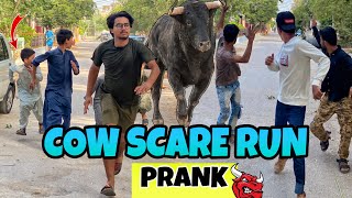 Fake Cow Run Prank | Challenger Boys