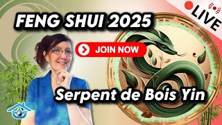 Feng Shui 2025 : Guide Complet pour une Année Harmonieuse du Serpent de Bois