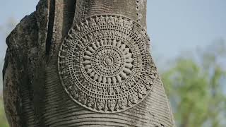 Celtic Knot: Untieing the Mystery