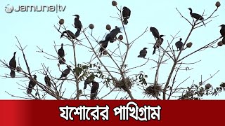 রং বেরংয়ের পাখির মেলা দেখতে ঘুরে আসুন গাঁওঘরা গ্রামে | Jamuna TV