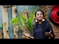 Thejasa -Harin Wijesiriwardana  #newchristiansong #newsinhalachristiansong