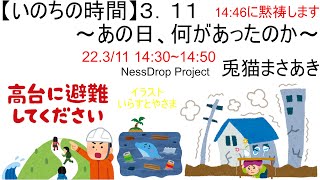 【いのちの時間】３．１１　～あの日、何があったのか～