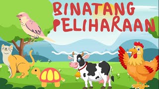 MENGENAL BINATANG PELIHARAAN