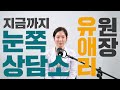 라식보다 안전하고 라섹보다 통증없는 최고의 시력교정술 유애리의 눈쪽상담소_안내렌즈삽입술