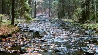 Údolím řeky Doubravy - Valley river Doubravy