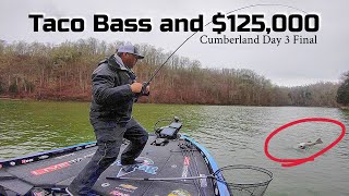 A Taco Bass Cost Me $125,000!!