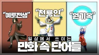 이거 만화에서 나온 단어라고? 거짓말 치지마; : 일상에서 쓰이는 만화 속 단어들