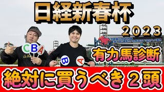 日経新春杯２０２３【予想】有力馬をABCで診断！！そして超激熱の絶対に買うべき馬２頭紹介！！