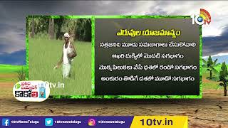 రబీ వరిలో ఎరువుల యాజమాన్యం | Management Of Fertilizers In Rabi Paddy Cultivation | Matti Manishi