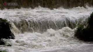 大雨で濁流になった京都・鴨川　The Kamo River in Kyoto became muddy due to heavy rain.　京都的賀茂川因大雨而變得渾濁。