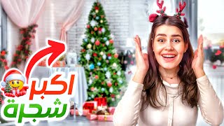 ل اول مرة شجرة ميلاد في بيتنا الجديد 😍🎄