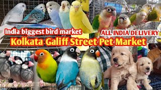 Kolkata Galiff Street Pet Market | Price Details 29/12/2024 #galiffstreetpetmarket #petlover #pets