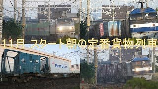 2019/11/01 JR貨物 晴天下朝の定番貨物列車5本 1068レにJR発電機健在