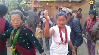 रोल्पामा यसरी नाच्दा रहेछन पैसरे नाच । 2074, Paisare nach in Rolpa by Jaljala Media