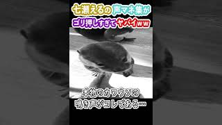 【切り抜き】七瀬えるのゴリ押しすぎる声マネ集が面白すぎたｗｗ【Varium／ぶいありうむ】 #shorts