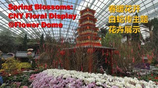 SINGAPORE | CNY Floral Display @Flower Dome - Spring Blossoms: Legend of Lady White Snake