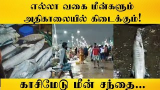 காசிமேடு துறைமுகம் அதிகாலை மீன் சந்தை #kasimedu #fishmarket #fishing #vlog #food #trendingshorts