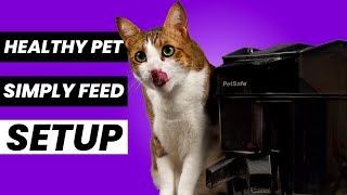 How to setup and program the petsafe automatic feeder|ULTIMATE GUIDE