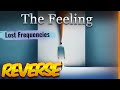 Lost Frequencies - The Feeling  ( Reversed ) - A Whole New Music Experience 🎵