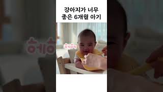 강아지가 너무 좋은 아기👶🏻🐶