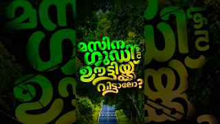 വയനാട്ടിൽ നിന്ന് മസനഗുടി വഴി ഊട്ടിയിലേക്ക് – വിട്ടാലോ! 🌿🚗✨#ExploreSouthIndia #TravelGram#IntoTheWild