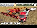 Planting beets, harvesting poppies | Kandelin Farm | Farming simulator 19 | Timelapse #40