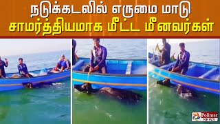 நடுக்கடலில் உயிருக்கு போராடிய எருமை மாடு... சாமர்த்தியமாக மீட்ட மீனவர்கள்..!