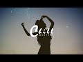 Avicii ft. Aloe Blacc - SOS (Casse Noisette Remix)