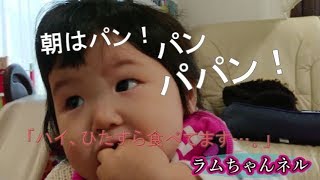 癒し　赤ちゃんがただひたすらにパンを食べている動画