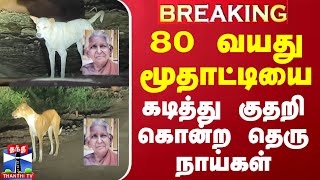 #BREAKING || 80 வயது மூதாட்டியை கடித்து குதறி கொன்ற தெரு நாய்கள்