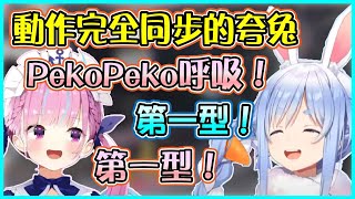 【Hololive】完全同步的Aqua和Pekora 族長想裝睡捉弄阿夸【兎田ぺこら/兔田佩可拉/湊あくあ】【ホロライブ切り抜き】