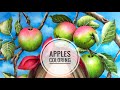 APPLES DRAWING (Step by Step) | GABRIELLA Coloring Page | Part 1/2