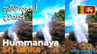 හුම්මානයේ දවසක් 😍😍😍  Hummanaya  Blow hole -Sri lanka