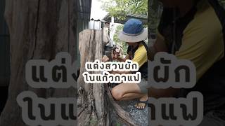 แต่งสวนผักด้วยแก้วกาแฟ #เกษตรป๊อบป๊อบ #diy #โตเต็มฟาร์ม #gardening #ปลูกผักกินเอง