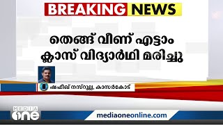 കാസർകോട് ശക്തമായ കാറ്റില്‍ തെങ്ങ് വീണു പരിക്കേറ്റ എട്ടാം ക്ലാസ് വിദ്യാർഥി മരിച്ചു