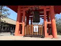 2024年3月3日 京都 梅や桜の咲く春桃会の三十三間堂を歩く walking around sanjusangendo temple kyoto 【4k】