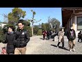 2024年3月3日 京都 梅や桜の咲く春桃会の三十三間堂を歩く walking around sanjusangendo temple kyoto 【4k】