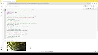 Resize Image using Python and Colab