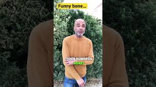 Why your funny bone is called a funny bone..