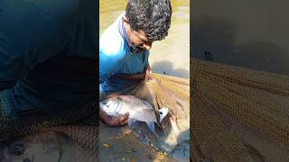 গ্রামের পুকুরে জাল টেনে মাছ ধরা #viralreels #fbreels #reelsfb #reels #reel #video #Amazing #viral