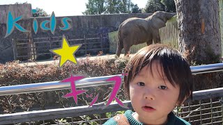 【動物園】みんなで動物園におでかけしよう！！　どんな動物が待ってるかな！？　Kid'sキッズ