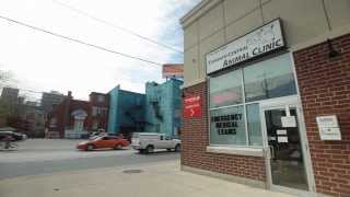 Toronto Central Animal Clinic - Short | Toronto, ON