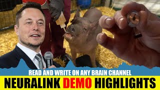 Neuralink Demonstration on Pig's Brain: Elon Musk's Live Brain-Chip Presentation in 7 Minutes