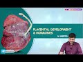 Placental Development & Hormones : Obstetrics and Gynaecology Lecture