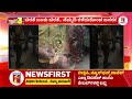 leopard incident ಅಪ್ಪನ ಸಾಹಸ.. ಸ್ವಲ್ಪದರಲ್ಲಿ ತಪ್ಪಿದ ಭಾರಿ ಅನಾಹುತ belagavi newsfirst special