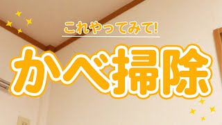 これやってみて！高い所の掃除に〇〇が便利！【いいね思ったら、コメント「👍」で教えてね😆】#Shorts